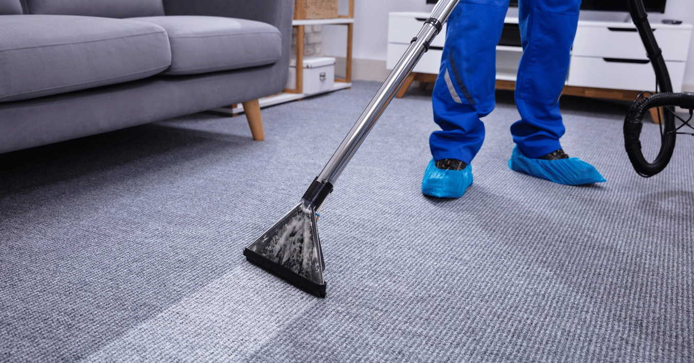 Carpet Cleaning