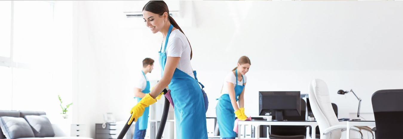 Professional cleaning 2