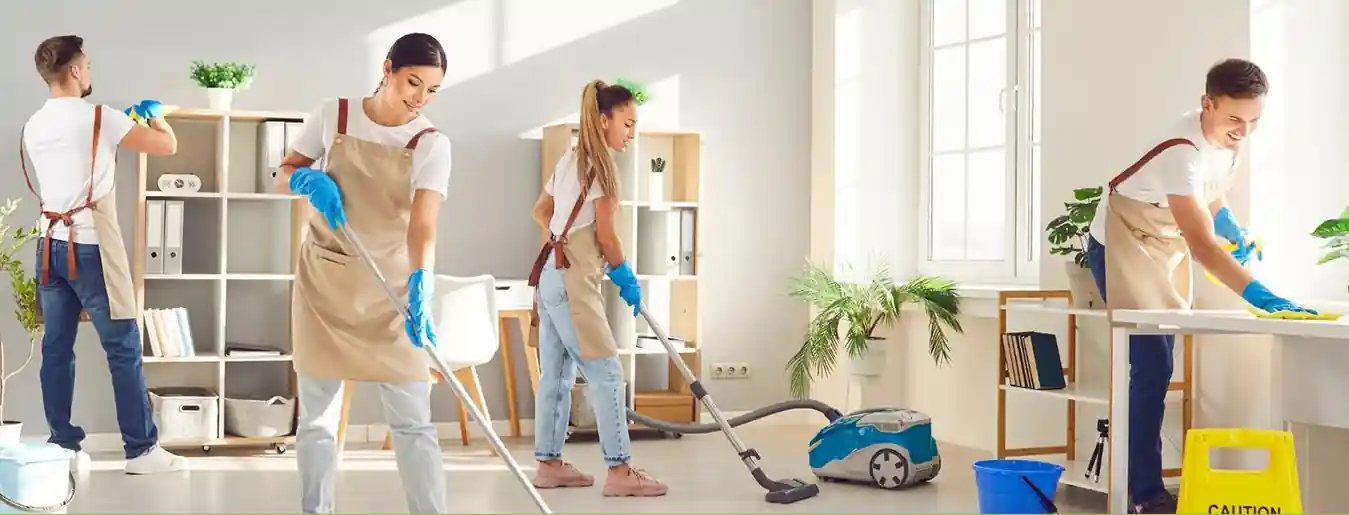 Move in or out Cleaning